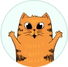 For Cat