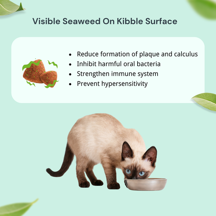 NatureBridge Herbal Kitten